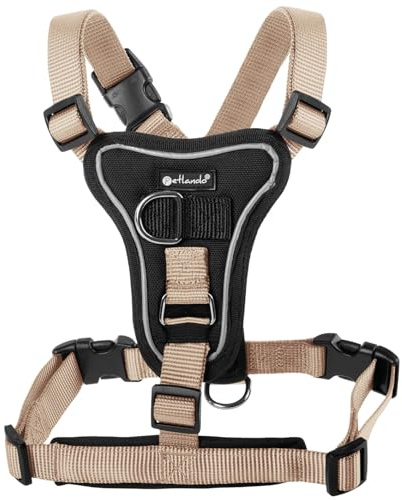 Petlando Hundegeschirr Anti Zug, Basic Comfort Plus, Champagner, S | Vertikaler Brust-D-Ring, Ohne Über-Kopf-Ziehen, Stufenlos verstellbar, Gepolstert, Geschirr für kleine Hunde