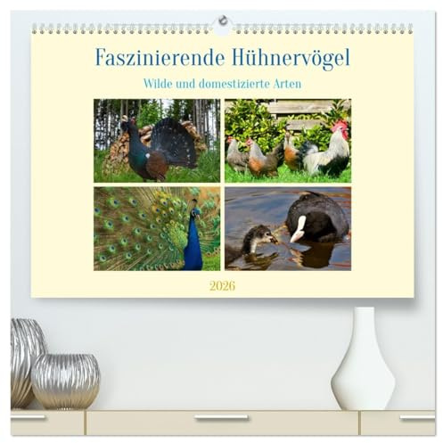 Faszinierende Hühnervögel (hochwertiger Premium Wandkalender 2026 DIN A2 quer), Kunstdruck in Hochglanz