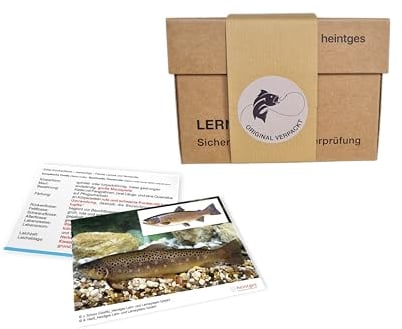 Lernkarten: Sicher durch die Fischerprüfung