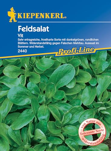 Kiepenkerl 2440 Feldsalat Vit (Feldsalatsamen)