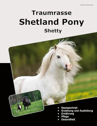 Traumrasse Shetland Pony: Shetty