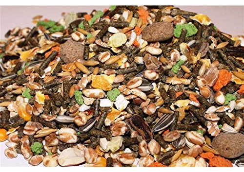 Anhaltiner Rattenfutter 10 kg Premiumfutter Mischfutter auf die Bedürfnisse von Ratten abgestimmt