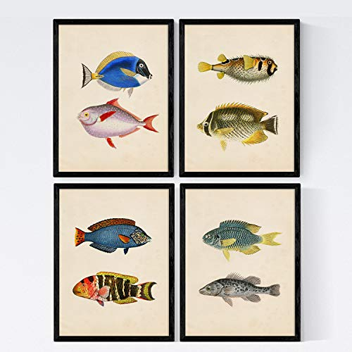 Nacnic Set 4 Blatt Fisch Jahrgang bunten Effekt. Sibirischen. 8 verschiedene Fisch Zusammensetzung im A4-Format, Jahrgang Hintergrund Altpapier Poster Papier 250 gr hohe Qualität. Frameless
