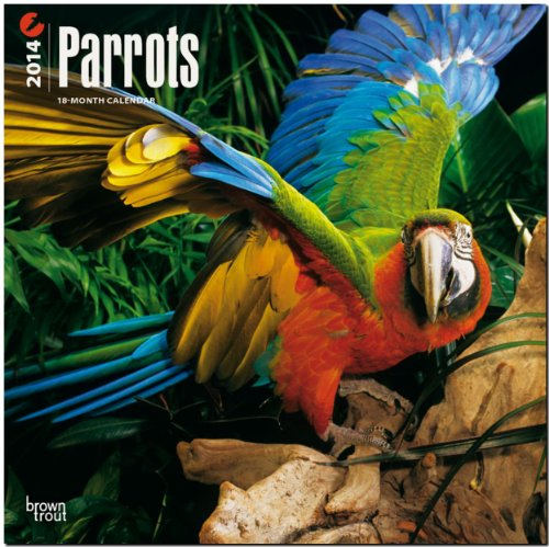 Parrots 18-Month 2014 Calendar