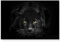Leinwandbilder | Bilder Leinwand 120x80cm schwarzer Panther