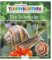 Meine große Tierbibliothek: Die Schnecke: Sachbuch für Vorschule & Grundschule