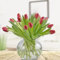 Blumenstrauß mit 20 frischen, roten Tulpen - Strahlende Tulpen mit Grußkarte