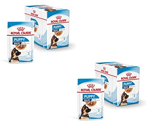 Royal Canin Maxi Puppy | Doppelpack | 2 x 10 x 140 g | Nassfutter für große Hundewelpen | Bis zum 15. Lebensmonat | Endgewicht 26 bis 44 kg | Weiche Textur für die Milchzähne
