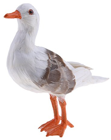 Statue Mouette Simulé Figurines Animaux Maison Jardin Taxidermie Décor
