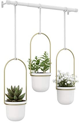 Umbra Triflora Vase, Hängeblumentopf, Wandvase, Blumenampel für Wand-und Deckenanbrinung, Melamin, Metall, Weiss/Messing, 3er Set