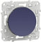 Schneider Electric S550204 Odace, va-et-vient, 10 A, à vis, Cobalt