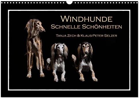 Windhunde - Schnelle Schönheiten (Wandkalender 2026 DIN A3 quer), CALVENDO Monatskalender: Überblick über diverse Windhundrassen, fotogrfaiert im ... mal nicht auf der Rennbahn (CALVENDO Tiere)