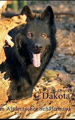 Dakota: ein altdeutscher Schäferhund