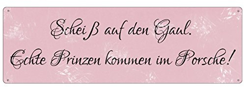 Interluxe METALLSCHILD Blechschild Scheiss AUF DEN GAUL ECHTE Prinzen KOMMEN IM Porsche