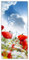 posterdepot Türtapete Türposter Mohnblumen unter blauem Himmel - Größe 93 x 205 cm, 1 Stück, ktt0040