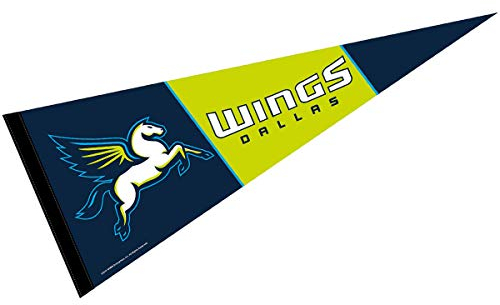 Dallas Wings Wimpel Banner Flagge