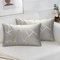 2er Set Kissenbezug Samt Kissenbezüge Moderne Zierkissen Bezug Graues Golden Geometrie Couchkissen Dekorative Kissen Sofa Zierkissenbezüge Dekokissen Kissenhülle für Wohnzimmer Couch 30x50cm