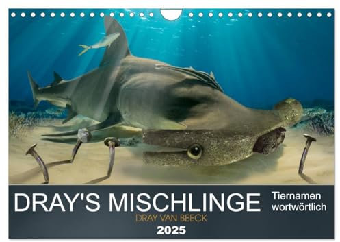 Dray's Mischlinge (Wandkalender 2025 DIN A4 quer), CALVENDO Monatskalender