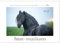 Friesen - stolze Giganten (Wandkalender 2025 DIN A3 quer), CALVENDO Monatskalender: Friesen - schwarze Pferdeschönheiten (CALVENDO Tiere)