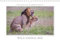 Emotional Moments: Wild Animal Sex. UK-Version 2020: Ingo Gerlach GDT has chosen from his giant pool of images from animals great sex photos. More at tierphoto.de (Calvendo Animals)