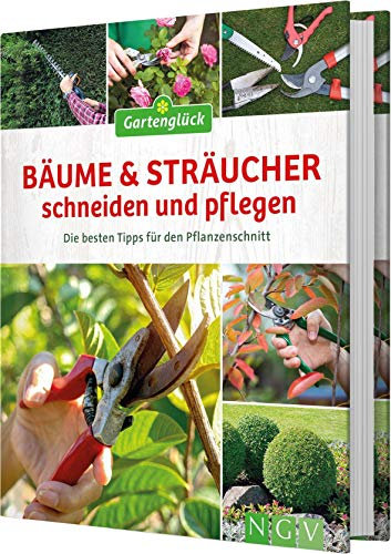 Bäume & Sträucher schneiden und pflegen: Die besten Tipps für den Pflanzenschnitt