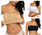 Boolavard Ladies Sexy Bandeau Strapless Seamless Boob Tube Style Bra M: (36-38)