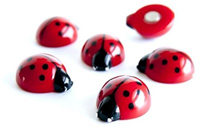 6 x Kühlschrankmagnete Ladybug 20x17x10mm Magnete für Pinnwand Magnettafel - Magnete für Kühlschrank, Magnetboard, Kinder Magnetwand, Tiermagnete