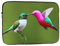 NNSOOD Novelty Hummingbird Prints Portable Laptop Sleeve Case - Shockproof Portable Laptop Sleeve Bag 12 inch for Men and Women Business Travel, Office Daily Use