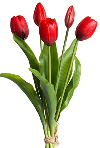 Botanic-Haus künstliches Tulpenbündel Holland mit 3 Tulpen und 2 Tulpenknospen real Touch (rot)