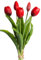 Botanic-Haus künstliches Tulpenbündel Holland mit 3 Tulpen und 2 Tulpenknospen real Touch (rot)