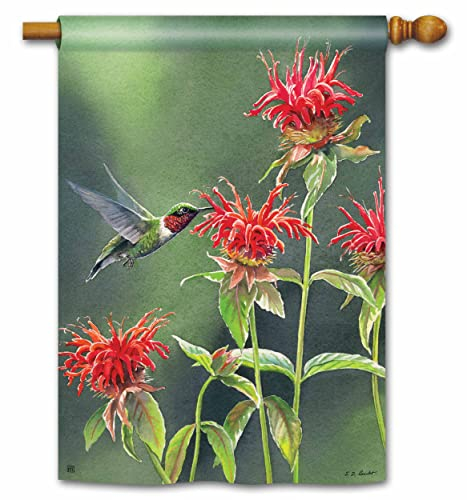 Studio M Kolibri Flutter BreezeArt Deko Standard Hausflagge Banner - Premium Qualität, 28 x 40 Zoll