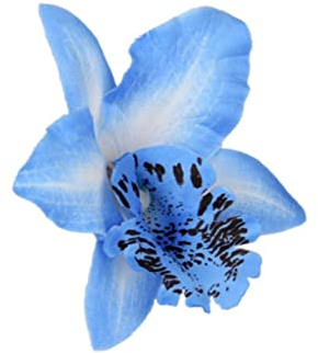 Zerodeko 20St hochzeitsdeko Orchidee Blütenkopf Strand