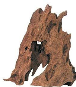 SAHAWA Mangroven Echtholzwurzel ca.30-40 cm