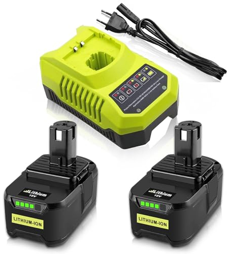 Goodexo 2X 5.5Ah Rechange pour Ryobi Batterie 18V + 9.6V-18V 3A Chargeur BCL14181H pour Ryobi Chargeur Lithium-Ionen & Ni-Mh Batterie P100 P102 P106 P107 P105 P108 P103 avec LED