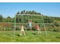 Sportspower Swing, Monkey Bar and Button Play activity set