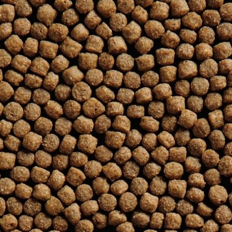15kg Coppens Wheat Germ 6 mm Koifutter