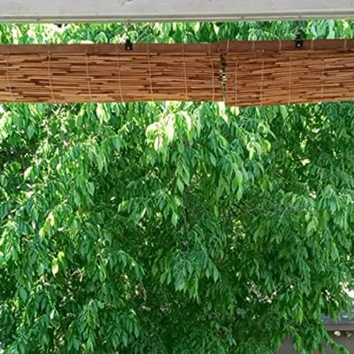 Reed Blinds Vintage Bamboo Roll Up Blind Hand Weave Privacy Screen Grass Mat Partition Door Curtain Sun Protection, Breathable,Bamboo Shades Blinds for Patio Bamboo Roll Up Blinds Bamboo Blinds (Size