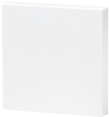 GIRA 029627 Wippe Wechsel ein/aus System 55 Reinweiß seidenmatt