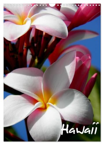 Hawaii (Wandkalender 2026 DIN A3 hoch), CALVENDO Monatskalender: Hawaii - die Schönheit der Natur (CALVENDO Orte)