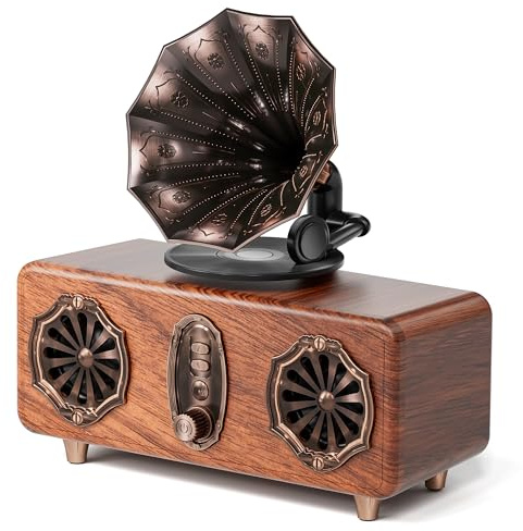 COLSUR Radio Portatile Vintage Altoparlante Bluetooth 1800mAh Batteria | Retrò FM Radio Portatile Altoparlante Bluetooth5.4 per iPhone Android 10W 1800mAh batteria Supporta Scheda TF/AUX/USB