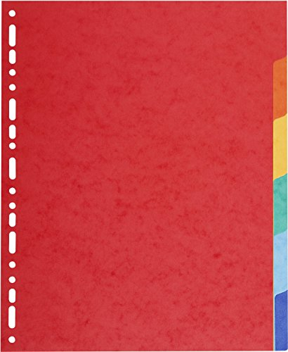 Exacompta 2106E Karton-Register Manila in Überbreite für DIN A4 MAXI aus Recyclingkarton 6-teilig volle Höhe 24 x 29,7 cm vollfarbig 6 Farben zur Ablage von Prospekthüllen Blauer Engel