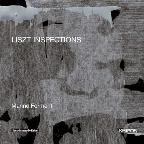Formenti: Liszt Inspections