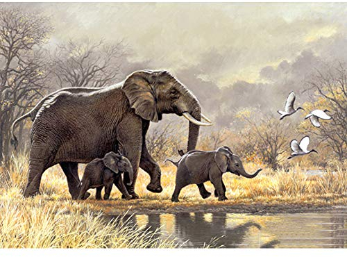 5D Diamond Painting Diamant Malerei Painting Bilder, Wowdecor Elefant Familie Dschungel Kran Tiere Full Set Groß DIY Diamant Gemälde Malen Nach Zahlen