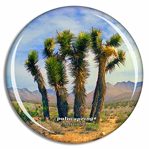 Palm Springs California USA Kühlschrankmagnet, Reisegeschenk, Souvenir-Kollektion, 3D-Kristallglas