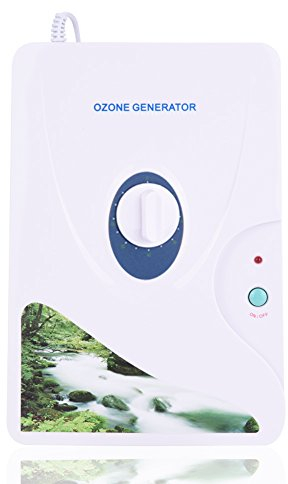 Generador de Ozono Generador de Ozono Purificador de Aire 600 Mg/h Generador Rueda Temporizador Purificador de Aire Cocina Plantas de Aceite Carne Agua Limpia Aire Fresco 220V