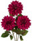 3 Stück Künstliche Dahlie Blumen Rot, 70cm Kunstblume Seidenblumen mit Langem Stiel für Blumenarrangements, Faux Herbst Blumen für DIY Hochzeit Party Deko Home Office Dekoration