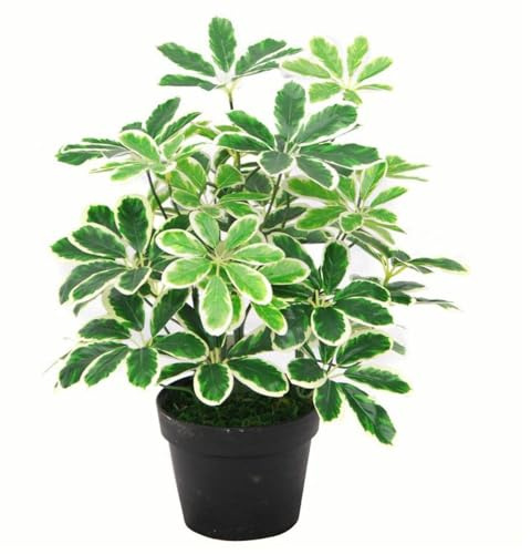 Leaf Artificial Arboricola Evergreen Plant,75cm, Green