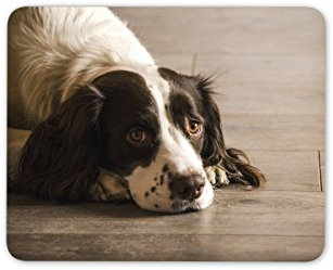 Destination Vinyl Ltd Beautiful Springer Spaniel Dog Mouse Mat Pad - Puppy Dogs PC Computer #8725