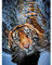 1000 Piece wooden Jigsaw Puzzles for Adults Tiger In The Water Mother And Child Puzzle Games Funny Gifts