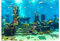 Aquarium Poster Aquarium Rückwandfolie Unterwasserwelt Aquarium Hintergrund Tropische Fische Aquarium Wandaufkleber PVC Selbstklebende Dekor Wandpapier Aquatic Underwater Coral Decor (122 * 46cm)